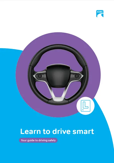 Learn to Drive Smart cover